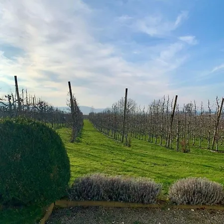 Haus Elstar 펜션 *