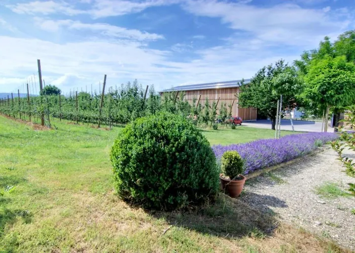 Haus Elstar Hébergement de vacances