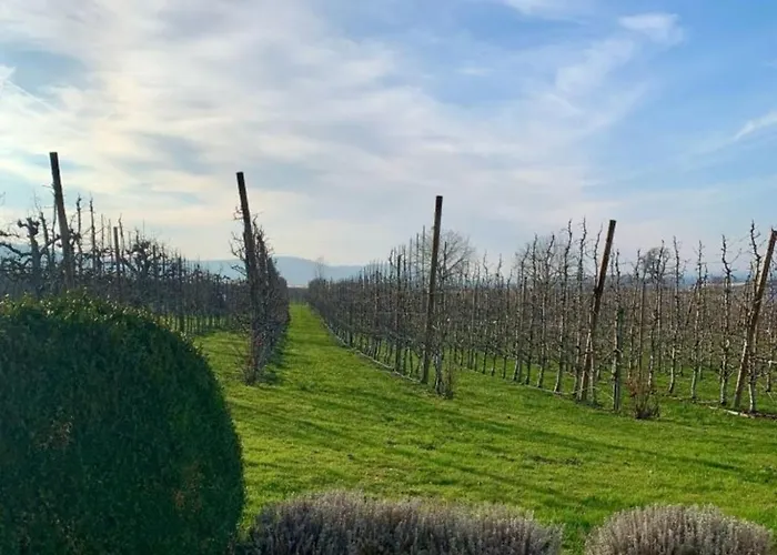 Haus Elstar Hébergement de vacances *